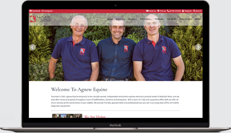 Agnew Equine Vets