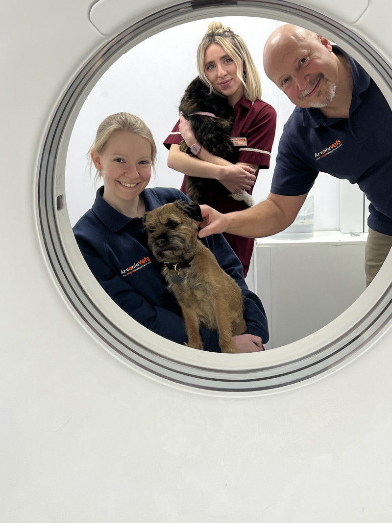 Cheltenham Veterinary CT Scanner cheap vet CT