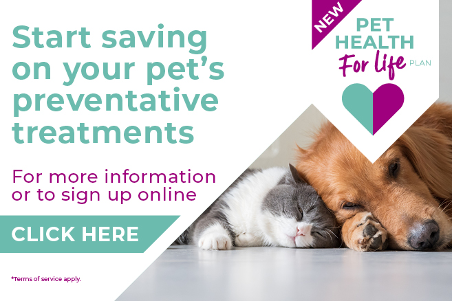 Check out our new Pet Health 4 Life Plan